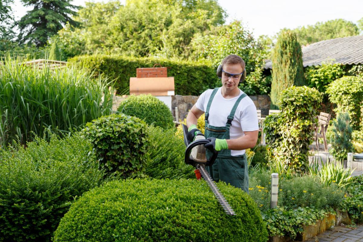 Quels sont les travaux d&rsquo;aménagement paysager ?