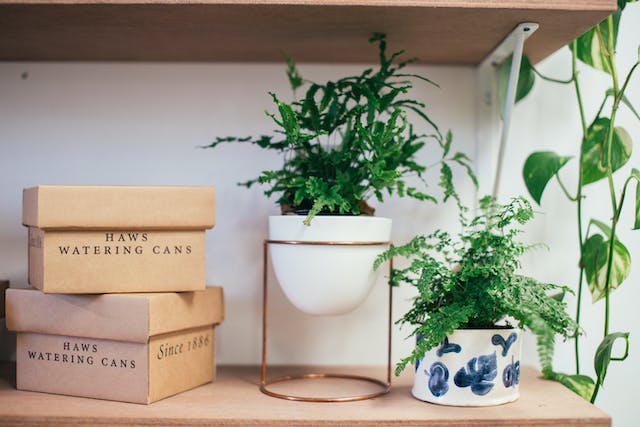 Conseils de décoration intérieure écologique